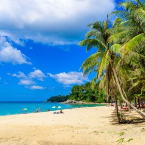 Surin Beach in Phuket Simba Sea Trips