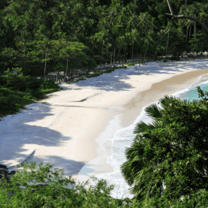 Visit the Serene Freedom Beach Simba Sea Trips