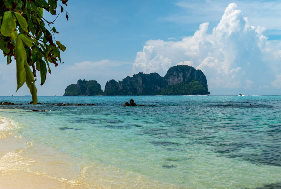 Phi Phi Sunset & Shark Tour