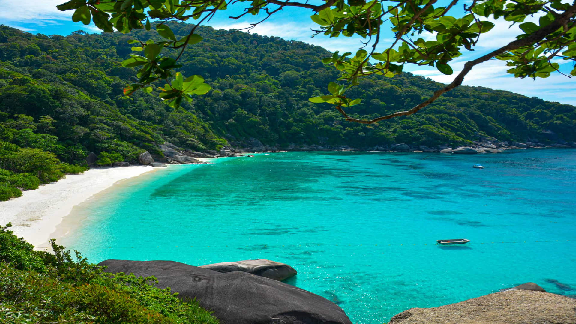 Month-by-Month Guide